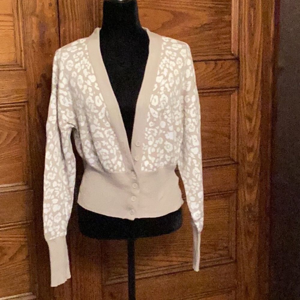 Express Cardigan Sweater